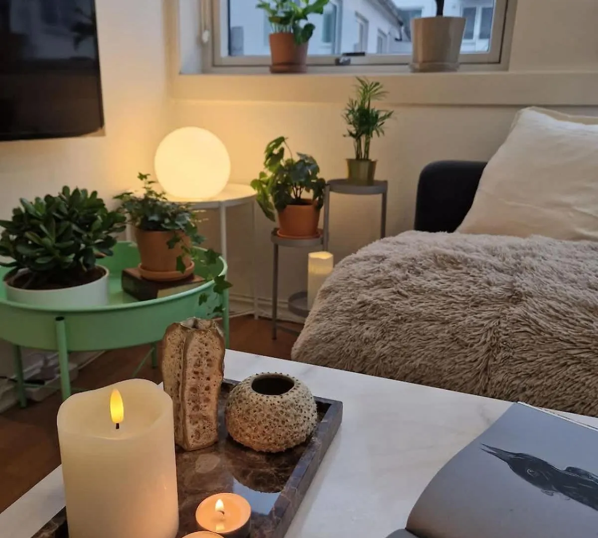 Cozy Condo Near Bryggen Full Kitchen Elevator Bergen Norwegen
