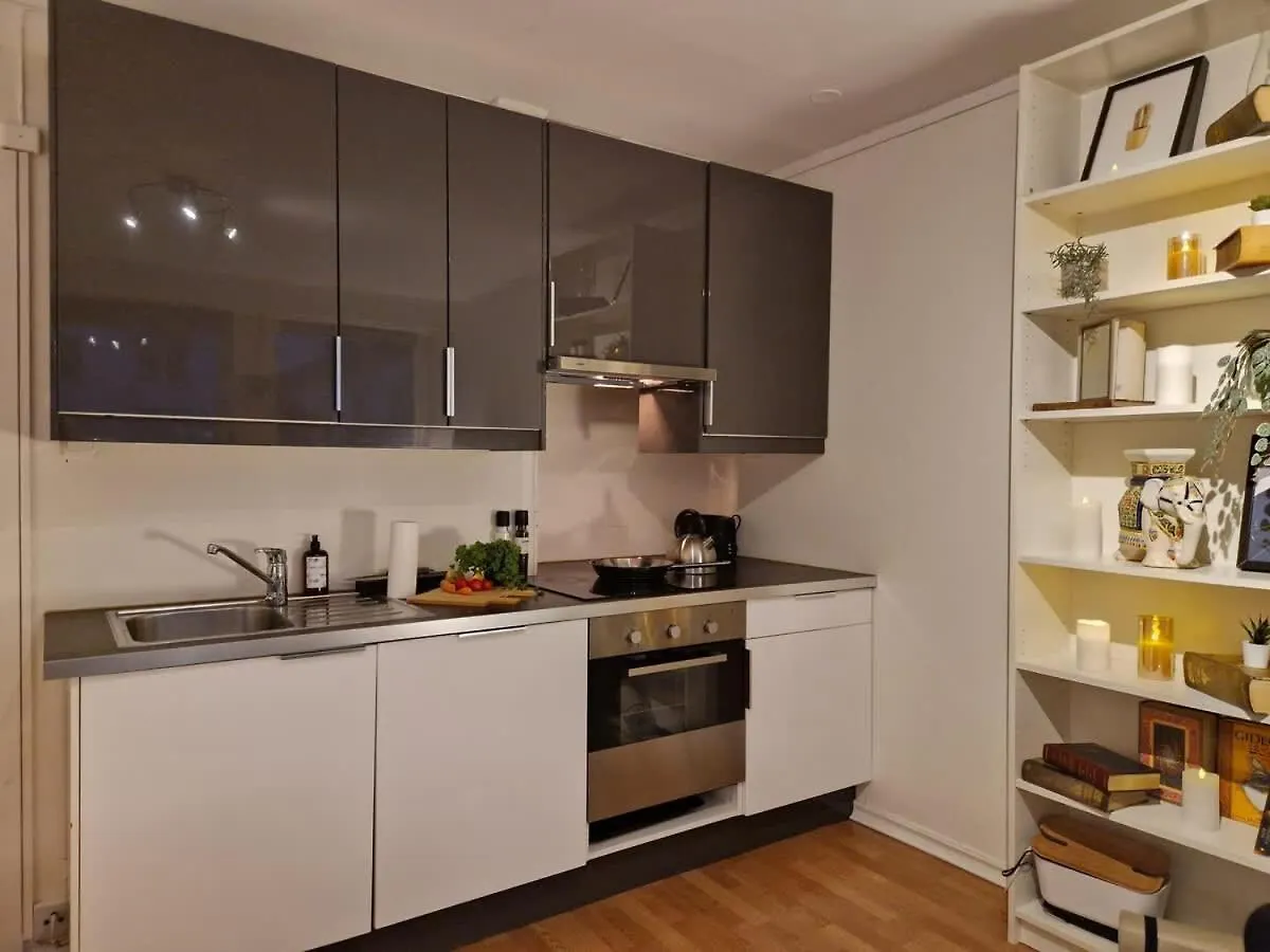 Cozy Condo Near Bryggen Full Kitchen Elevator Bergen