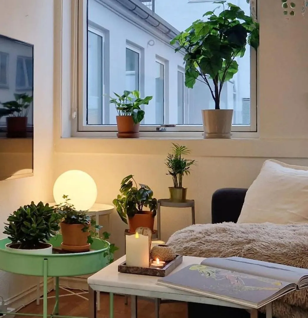 Ferienhaus Cozy Condo Near Bryggen Full Kitchen Elevator Bergen